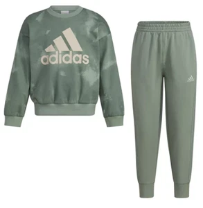 Adidas SILVER GREEN Little Boys Crewneck Pullover and Joggers, 2 Piece, US 2T - Picture 1 of 2