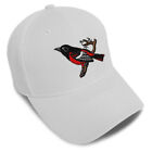 Baseball Cap Animal Bird Wildlife Baltimore Oriole Hen Hats for Men & Women