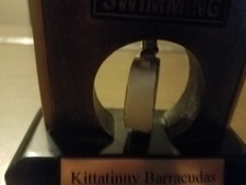 Swimming Trophy, Brown Timer stopwatch pool lanes goggles unisex spinning
