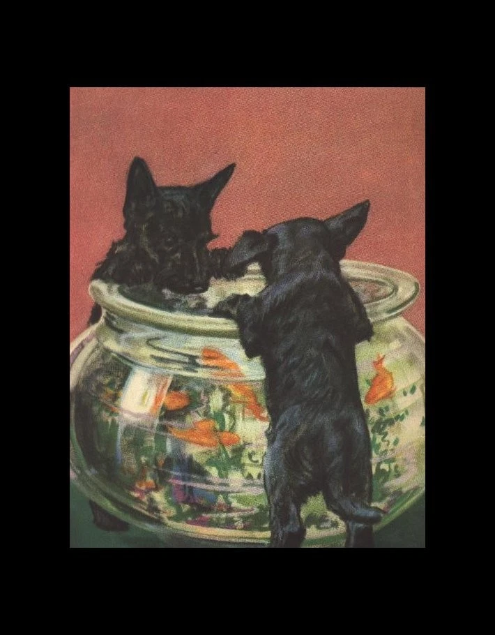 Scottish Terrier - CUSTOM MATTED - Dog Art Print - D. Thorne - 5x7 CLEARANCE - Изображение 1 из 1