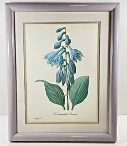 PJ Redoute Botanical Floral Art Print Blue Day Lily 15.5 x 12.5 Mat Frame VTG - Picture 1 of 13