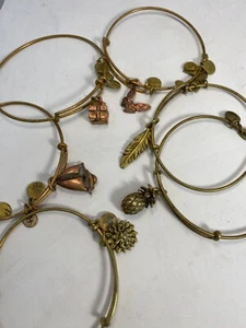 Alex + Ani Copper Charm Bangle Bracelets Lot of 6 - Picture 1 of 4