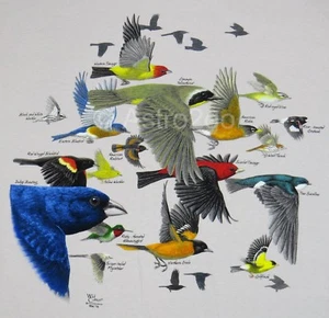 BIRD MIGRATION-Robin Goldfinch Swallow Hummingbird Nature Science T shirt XL,2XL - Picture 1 of 4