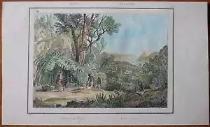1837 Druck KAFFEEERNTE IN BRASILIEN (#15) - Bild 1 von 1