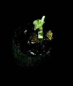 SELTENE THOMASCLARKEITE-(Y) Kristalle feine mineralische Probe Mont Saint Hilaire QK CA - Bild 1 von 8