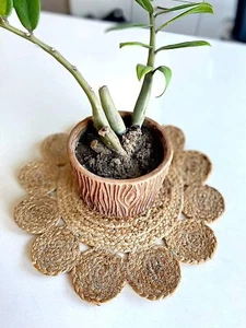 Handicrafts & Handlooms Jute Round Placemat (6 Inch) Set of 2 - Picture 1 of 4