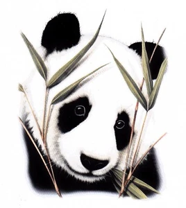 Hochwertiges TEE SHIRT; BAMBUS PANDA / Dispo: S M L XL XXL XXXL + enf   - Bild 1 von 1