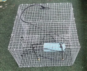 Minnow Trap Key West Style - Foto 1 di 3