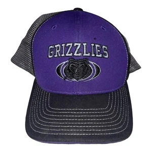 Grizzlies Football Cap Hat Purple - Picture 1 of 8