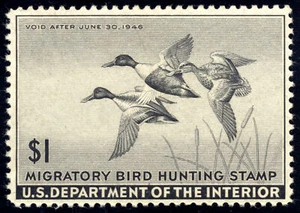 US RW12 $1 Hunting Permit Stamp 1945 Shoveller Ducks in Flight F-VF unused OG H - Picture 1 of 2
