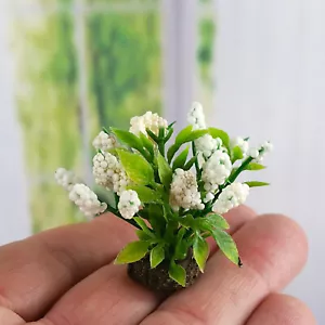 Puppenhaus Miniatur-Pflanze mit Erdballen ( 3,6 cm ) Handgefertig. Maßstab 1:12 - Bild 1 von 1