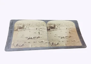 Antiguo 1902 Stereoview Pastores hindúes Cuidando sus rebaños Monte Abu India - Imagen 1 de 3
