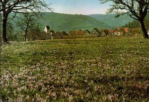pk2727 - AK  -- Zavelstein (Bad Teinach) -- Blick auf den Ort - Bild 1 von 1
