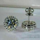 4ct Lab Created Diamond Screw Back Halo Stud Earrings 14K White Gold Plated