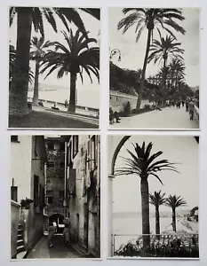 Fotografía Vintage Paisaje Palmeras Italia San Remo Robert Petschov 1925 - Imagen 1 de 13