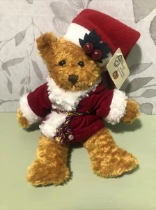 CHRISTMAS MARCH OF DIMES 8" BROWN Mr Claus SANTA BEAR 2002 Plush Original Tag - Picture 1 of 8