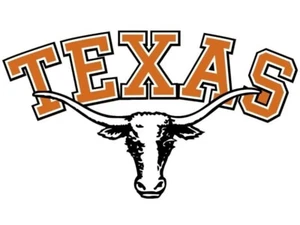 Texas Longhorns Vinyl Decal, Sticker Vintage 6 inch - Picture 1 of 1