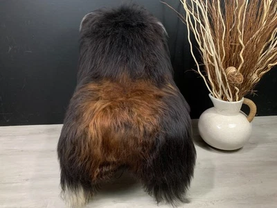 XXL Sheepskin Brown Genuine Exquisite Beautiful Natural Rug Pelt Throw Pet Bed - Image 1 of 4