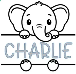 Personalized Baby Elephant Name Wall Decal- Wall Decor for Boys Or Girls Room - Picture 1 of 6