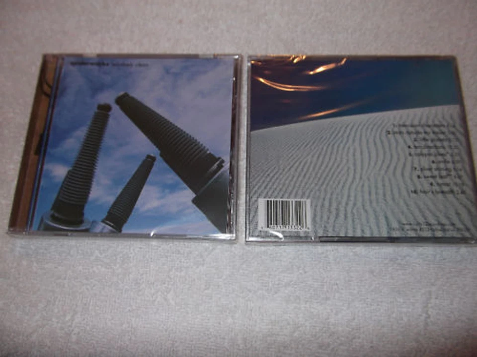 Spiderworks "Relatively Clean" CD New Riverside CA 2000 Acid Rock Fried Wood  Foto 1 de 1