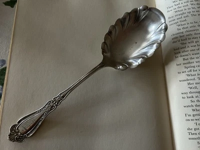 Antigua cuchara para servir 1847 Rogers Bros A1 bayas/cazuela chapada en plata Foto 1 de 4