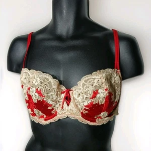 Victoria's Secret Unlined Demi Bra with Underwire Black Lace Red Accent Size 38D - Picture 1 of 14