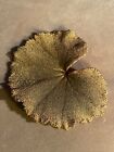 VINTAGE Gold Tone Large Lily Pad Textured Scarf Pin Brooch 3"