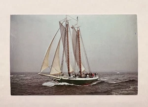 Postal de colección Windjammer Mattie, Maine Coast Cruises, Capt. Morey Sailing - Imagen 1 de 2