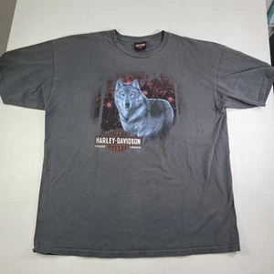 Harley Davidson Mens XL T-Shirt Wildcat London Kentucky Motorcycle Tee Wolf - Picture 1 of 7