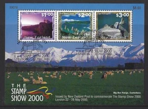 NUEVA ZELAND 2000 SELLO EXHIBICIÓN HOJA MINIATURA EXPOSICIÓN CANCELAR FINO USADO - Imagen 1 de 1