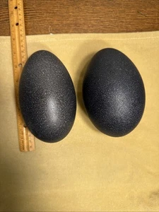 2 Emu Eggs Blown Out Eggshell Shell Crafting Home Decor 5" and 5 1/2" - Picture 1 of 8