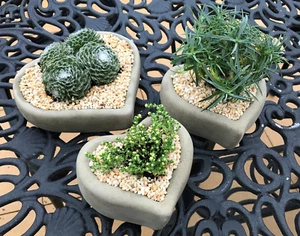 Juego de 3 plantadoras en forma de corazón adorno de jardín de piedra - Imagen 1 de 4