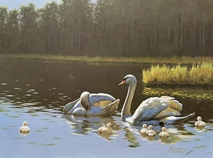 Guy Coheleach “Mute Swans - Cygnus Olor” Water Bird Series Estate Signed Print - Picture 1 of 6