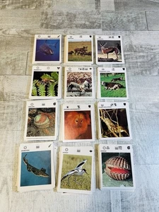 Gran Lote De 431 Tarjetas Ilustradas De Animales Del Tesoro De Vida Silvestre Excelente Estado - Imagen 1 de 4