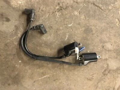 Bobinas de encendido Polaris Rush Pro R 800 RMK Switchback Indy Assault 11 12 13 OEM Foto 1 de 3