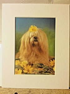 Portal Publications 1988 Marley & Daises Richard Stacks Lithograph CPFE006 23 - Picture 1 of 4