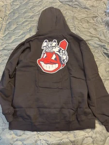 Superior Defense "’22 Wild Thing" Black Hoodie - Picture 1 of 4