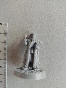 THE MAGISTRATE MINIATURE /SOLOMON KANE RPG/G44 - Imagen 1 de 1