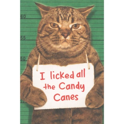 Brown Cat Mugshot I Licked All the Candy Canes Humorous / Funny Christmas Card - Image 1 of 2