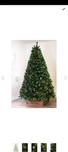 Christmas tree world pre lit 7ft vanda verde - Picture 1 of 2