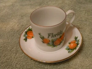 Vintage Florida Souvenir Oranges Cup & Saucer Made In USA by Chateau China - Picture 1 of 5