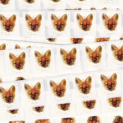 US # 5743 RED FOX 40c (2023) - Flat Strip of 50 Stamps from Coil w Center PNC#s - Image 1 of 4