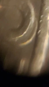 1971 d kennedy half dollar DDR - Picture 1 of 11