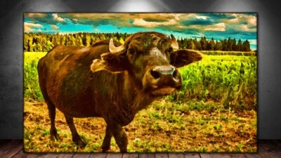 LEINWAND BILD ER XXL POP ART KUH KOPF KÜHE ABSTRAKT BUNT TIER NATUR WAND POSTER  - Bild 1 von 3