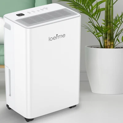 LOEFME 16L/Tag Luftentfeuchter Elektrisch Raumentfeuchter 40m² Luftentfeuchtungsgerät﻿