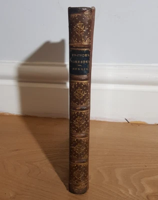 1895 FRONDES AGRESTES READINGS IN MODERN PAINTERS JOHN RUSKIN ART @ - Image 1 of 4