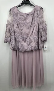 New Alex Evenings Plus Sz 22 Embroidered Dress W Illusion Sleeve, Scallop Detail - Picture 1 of 6