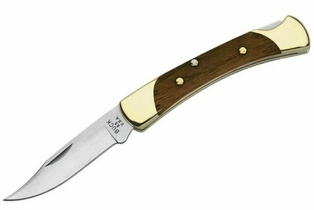 Buck Knives 0055BRS-B Folding Hunter Knife