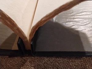 ARTE ACQUERELLO INCHIOSTRO diario Lama-Li carta 80 pagine 100 libbre libro NERO FATTO A MANO - Foto 1 di 11