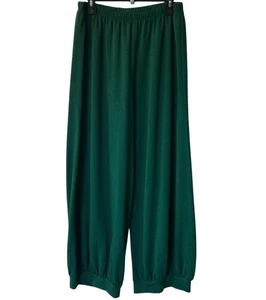 NEU mit Etikett Bryn Walker Wyatt grüne Hose XL Bambus Bio-Baumwolle Made in USA - Bild 1 von 10